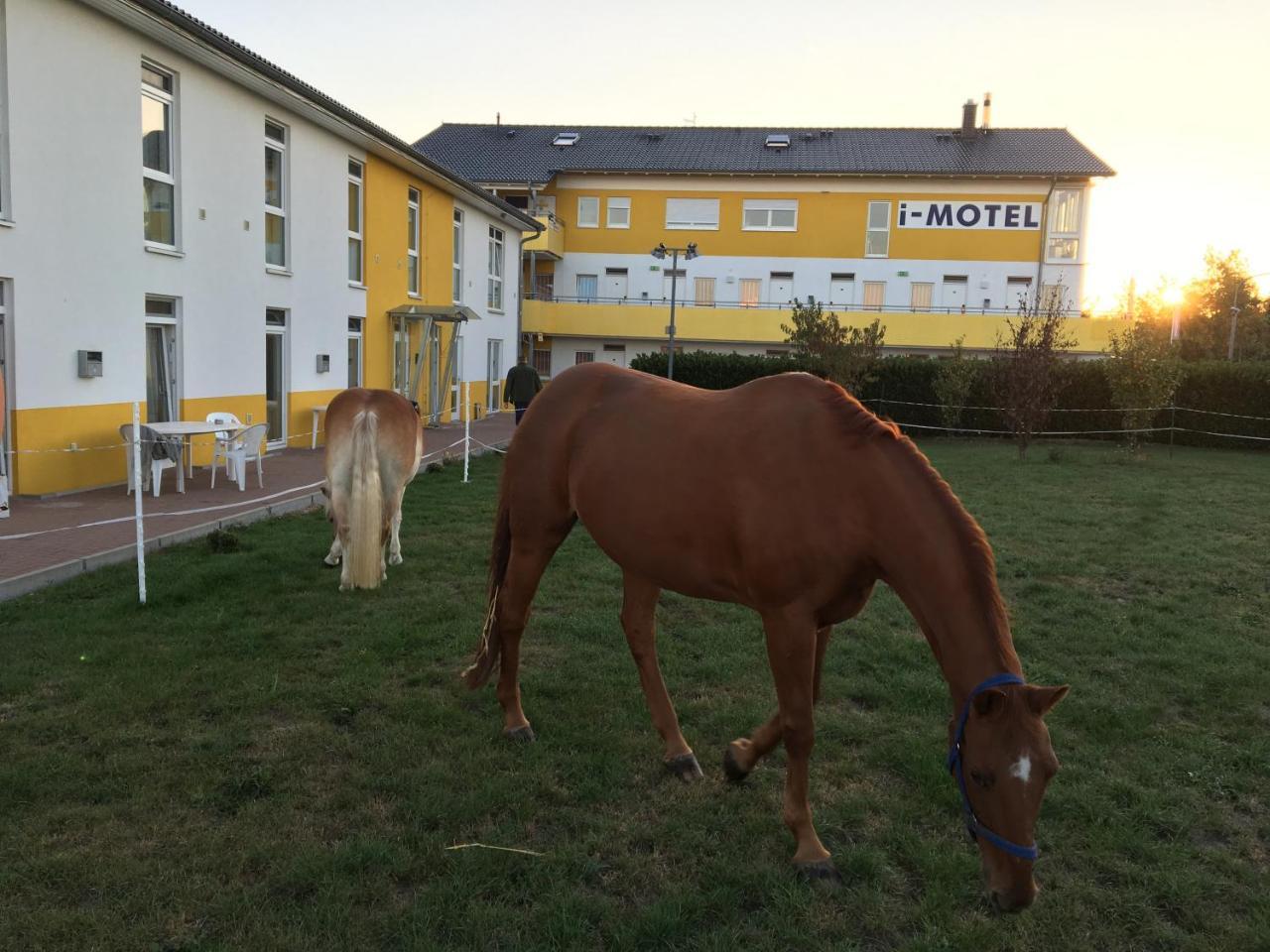 I-Motel Obertshausen Exteriér fotografie